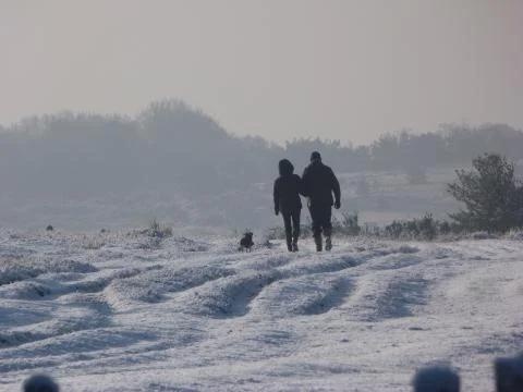 Winter in the ashdown forest 写真素材