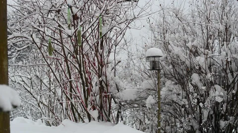 Winter in Austria 库存影片 34404715