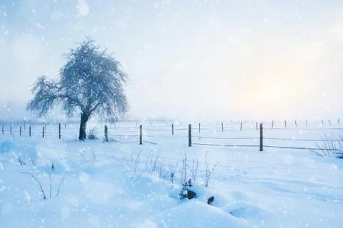 Winter in Austria Stock Photos