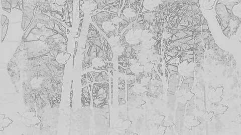 Winter Autumn Stock Footage 82423711