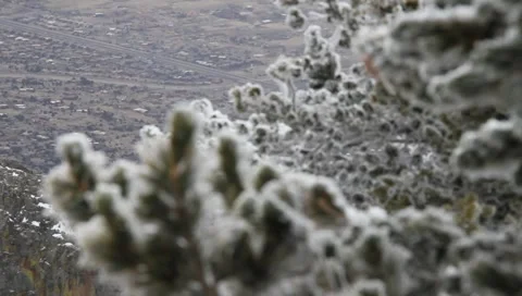 Winter Background 4088 Stock Footage 1091878