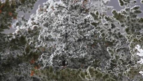 Winter Background 4089 Stock Footage 1091872