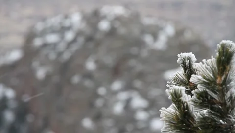 Winter Background 4092 Stock Footage 1091843