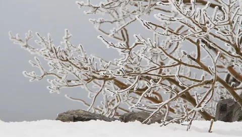 Winter Background 4098 Video stock 1091795