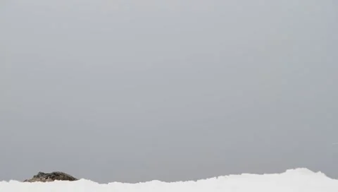 Winter Background 4099 Stock Footage 1091789