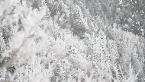 Winter Background 4106 Video stock 1091704