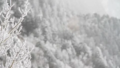 Winter Background 4110 Stock Footage 1091661