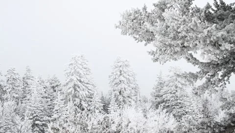 Winter Background 4114 Video stock 1091594