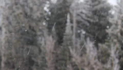 Winter Background  4127 Stock Footage 1094544