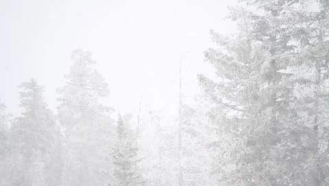 Winter Background  4131 Stock Footage 1094661