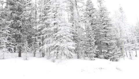 Winter Background 4146 Stock Footage 1094872