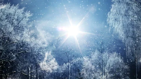 Winter background and falling snow loop Stock-Footage 43968780