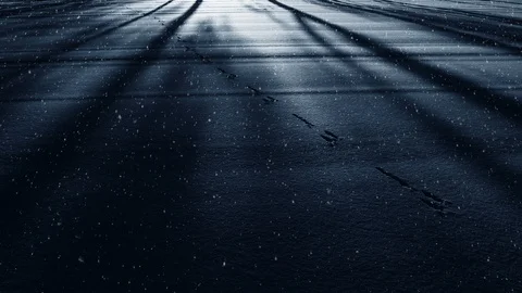 Winter Background And Falling Snow 스톡 동영상 98528630