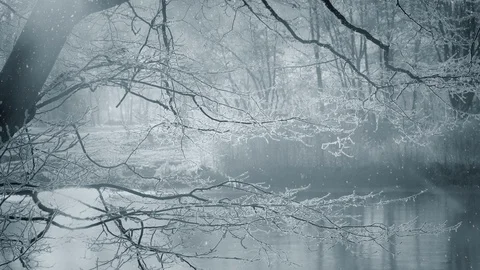 Winter Background And Falling Snow Stock Footage 98727566