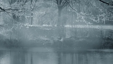 Winter Background And Falling Snow 스톡 동영상 98727922