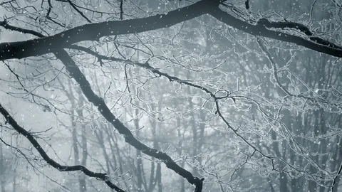 Winter Background And Falling Snow Stockbeeldmateriaal 98728081