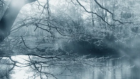 Winter Background And Falling Snow Stockbeeldmateriaal 98728609