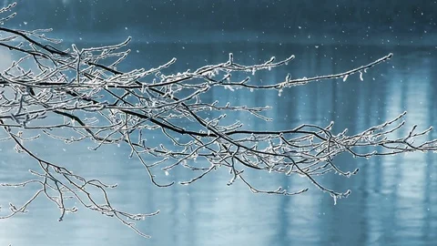 Winter Background And Falling Snow Vidéo 98728958