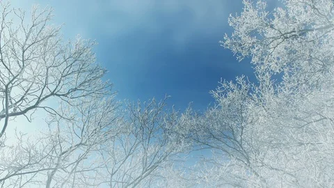 Winter Background And Falling Snow 스톡 동영상 98784579