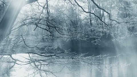 Winter Background And Falling Snow Видео 98785082
