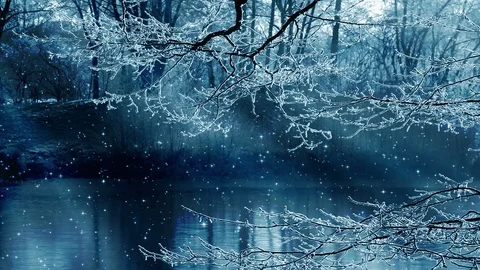 Winter Background And Falling Snow Видео 98785668
