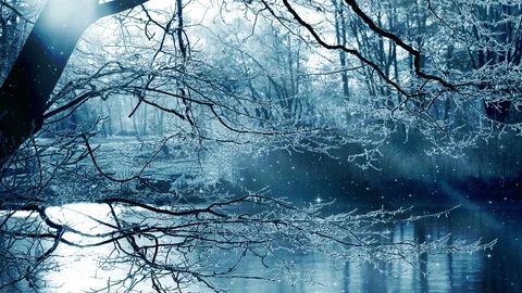 Winter Background And Falling Snow Видео 98786808