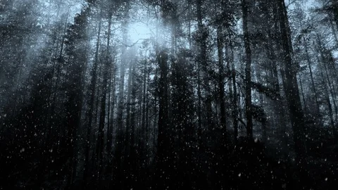 Winter Background And Falling Snow Vidéo 99656373