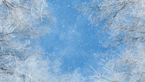 Winter Background Animation Loop Stock Footage 120292978