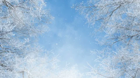 Winter Background Animation Loop Stock Footage