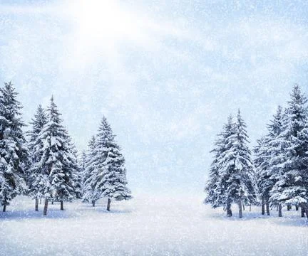 Winter background with a blizzard in the spruce forest. Snow-covered Christma Stock-Fotos
