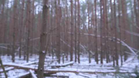 Winter background, Blurred background, Falling snowflakes Stock Footage 272215178