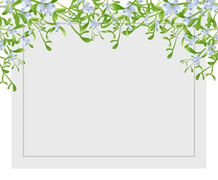 Winter background border with Mistletoe branches with green leaves and berr.. Stock Illustration