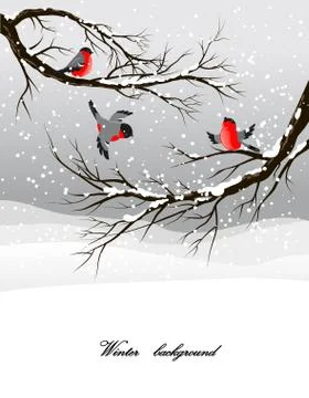 Winter background with bullfinch Stock Illustration