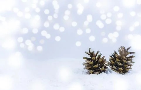 Winter background. Christmas tree cones in the snow. Stock Photos