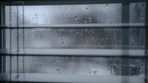 Winter background with falling snow outside on winter day. Flakes of snow Stock-Footage 293890961