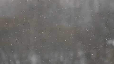 Winter background with falling snow in slow motion, Full HD footage Video stock 73034709