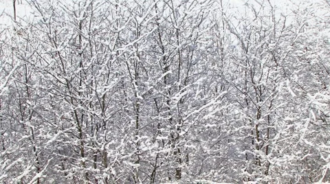 Winter Background Stockbeeldmateriaal 995443