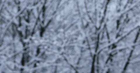 Winter background Stock Footage 86646923