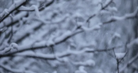 Winter background Stock Footage 86704766