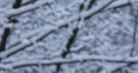 Winter background Stock Footage 86706235