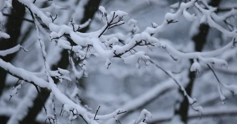 Winter background Stock Footage 86931796