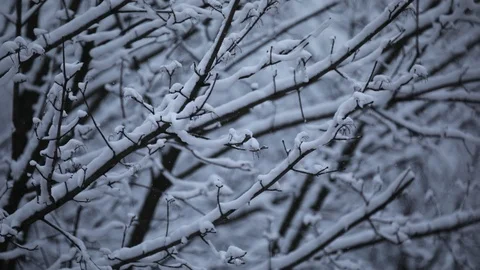 Winter background Stock Footage 86934705