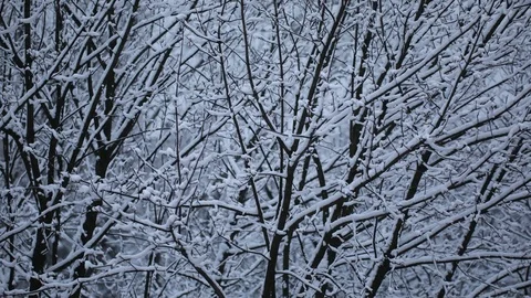 Winter background Stock Footage 86934882