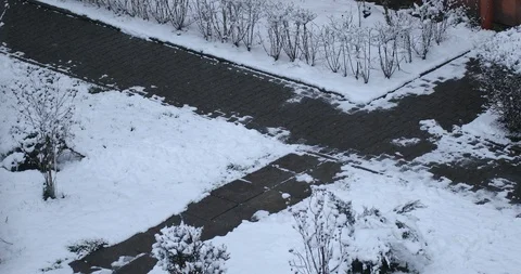 Winter background Stock Footage 87606824