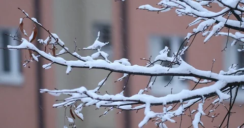 Winter background Stock Footage 87607038