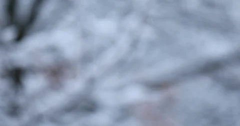 Winter background Stock Footage 87611278