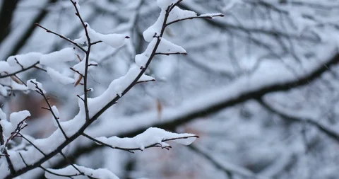 Winter background Stock Footage 87612342