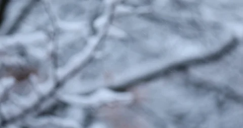 Winter background Stock Footage 87614402