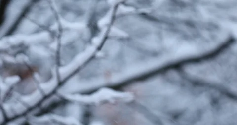 Winter background Stock Footage 87614852