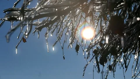 Winter background Stock Footage 260751608